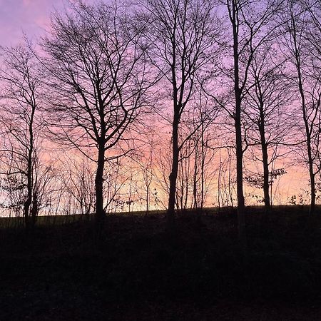 La Canopee Des Arbres, Anna Ellezelles Exteriér fotografie