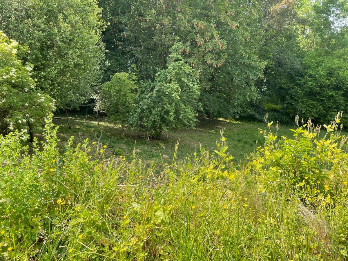 La Canopee Des Arbres, Anna Ellezelles Exteriér fotografie
