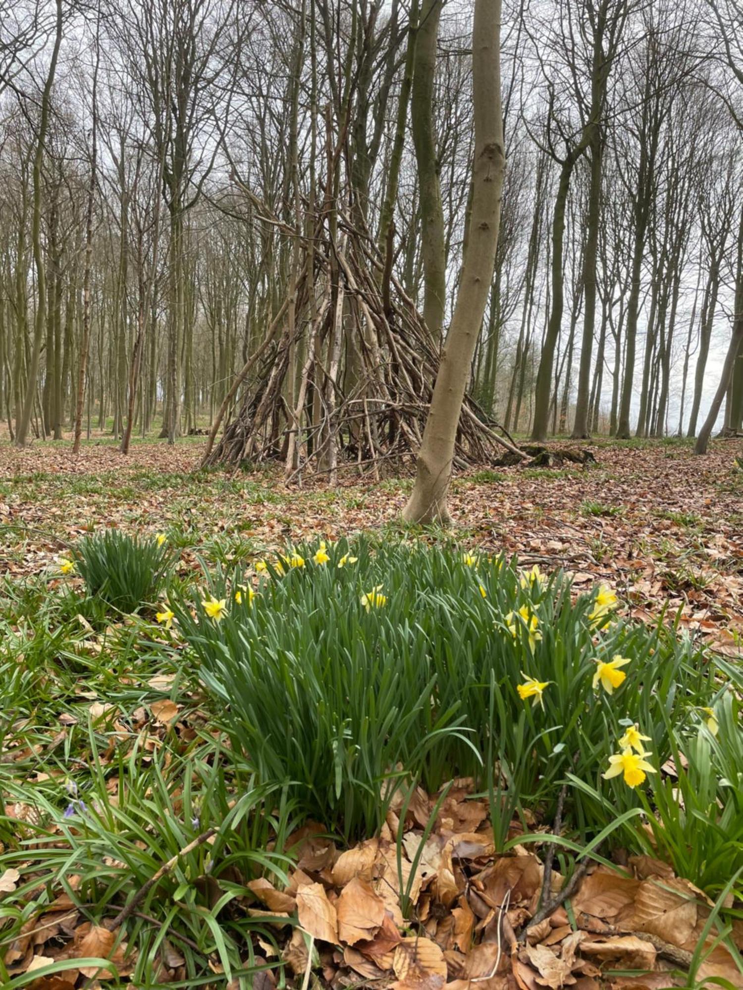 La Canopee Des Arbres, Anna Ellezelles Exteriér fotografie