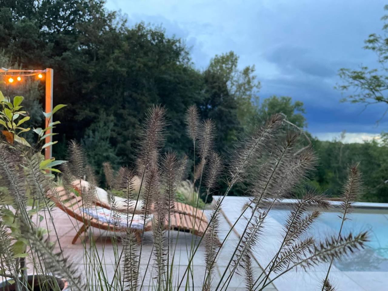 La Canopee Des Arbres, Anna Ellezelles Exteriér fotografie